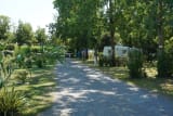 Emplacement avec électricité à la nuitée - Le Domaine de Beaulieu