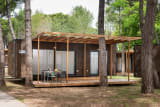 Cool Shade Lodge - Ca'Savio