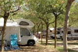 Pitch camping-car Pine Woods - Pineto Beach Village
