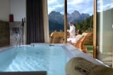 ALPINE PRIVATE SPA & SUITE - Vidor Family & Wellness Resort