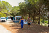 Piazzola **** - Domaine d'Arnauteille