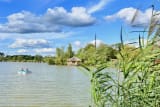 RUCHE - Domaine des Feuilles