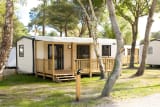 Mobil-home Premium 40m² (3 chambres) + Terrasse + TV + lave-vaisselle - Le Vieux Moulin