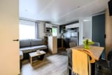 Mobil Home Grand Confort 3 Pièces 4/6 Personnes Climatisé + TV - L'Arbre d'Or