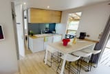 Mobile-Home Riviera - 33m² - 3 Schlafzimmer  1/6 pers - Le Mas de Pierredon