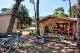 Ecolodge Cotton Confort 32 m² - 2 chambres - terrasse couverte de 11m² + TV - Le Bel Air
