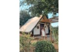 ECOTIPI - 32m²- 1 bedroom - Orangeraie