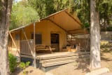 Safari Tent 4 pax - Vallicella Glamping Resort
