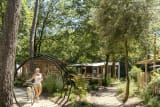 Cottage Cocoon 3 chambres PREMIUM - L'Orée du Bois