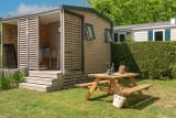 Emplacement Tente Premium - Le P'tit Bois