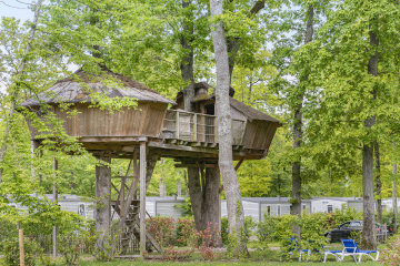 Tree house - Château des Marais