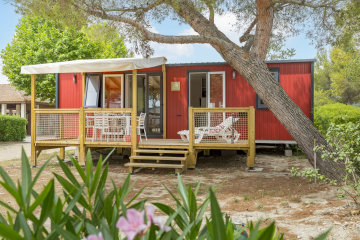 Cottage 3 bedrooms - air-conditioning **** - L'Ile des Papes