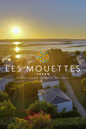 Les Mouettes