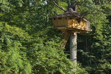Tree house - 20m² - Parc de Fierbois