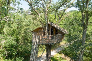 Capanne sugli alberi Forest Camp Insolite - Les Alicourts