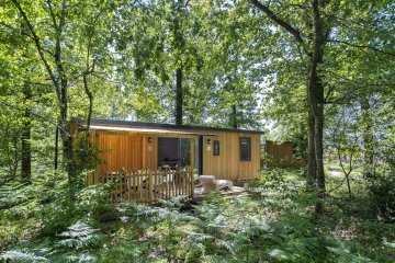 Cottage Keywest Forest Camp 3  bedrooms Premium - Les Alicourts