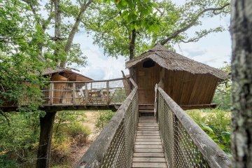 Capanne sugli alberi Forest Camp Insolite - Les Alicourts
