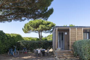 Pitch PREMIUM - Le Cormoran - Romanée