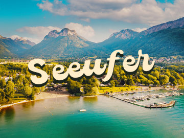Seeufer