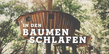 In den Bäumen schlafen