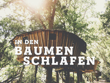 In den B&#228;umen schlafen