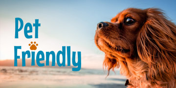 Pet friendly