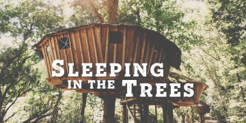 Sleeping in the trees