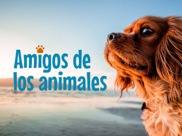 Amigos de los animales