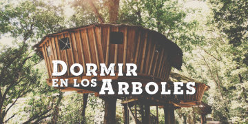 Dormir en los árboles