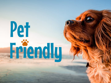 Pet friendly
