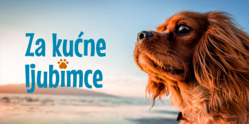 Za kućne ljubimce