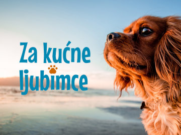 Za kućne ljubimce