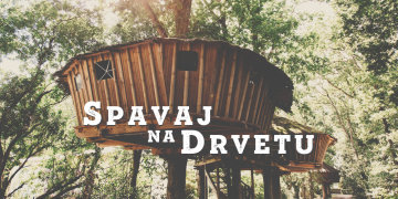 Spavaj na drvetu