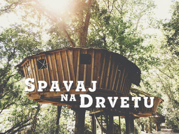 Spavaj na drvetu