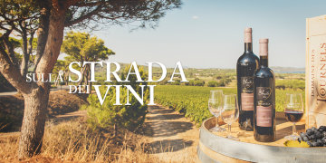 Sulla strada dei vini