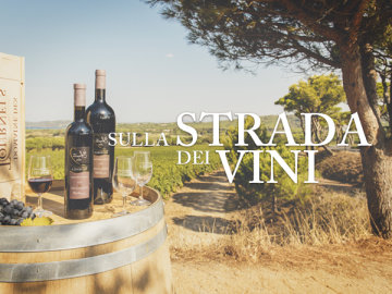 Sulla strada dei vini