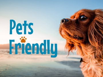 Pet friendly