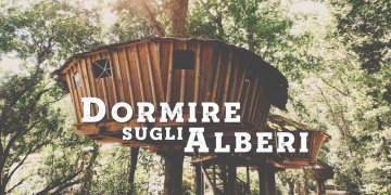 Dormire sugli alberi