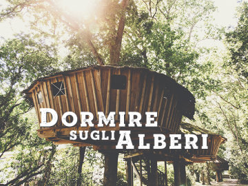 Dormire sugli alberi
