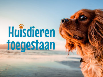 Huisdieren toegestaan