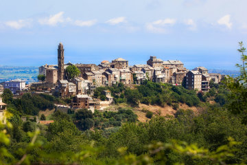 Venzolasca