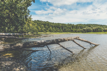 Saint-Julien-des-Landes