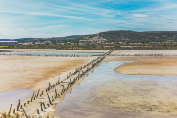 Frontignan