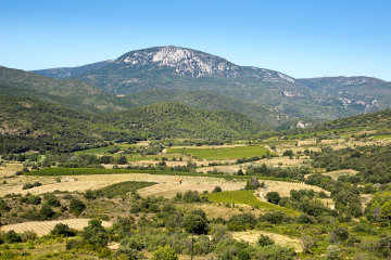Montclar