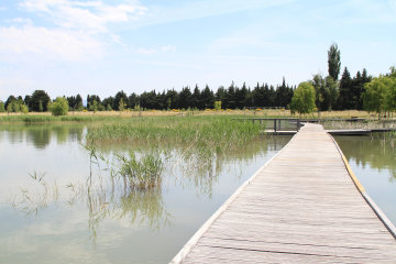Monteux
