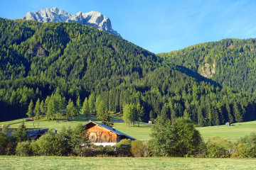 Sesto