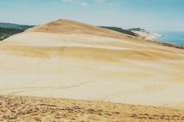 The Dune du Pilat