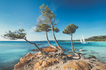 El Belvedere de Porto Vecchio