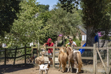 camping au bocage du lac cotes darmor