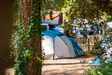 Comfort package: tent / van / electricity - Monplaisir